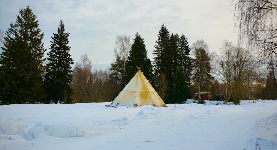 Zweden Winter Nieuw 11 Zweden Winter Nieuw 11